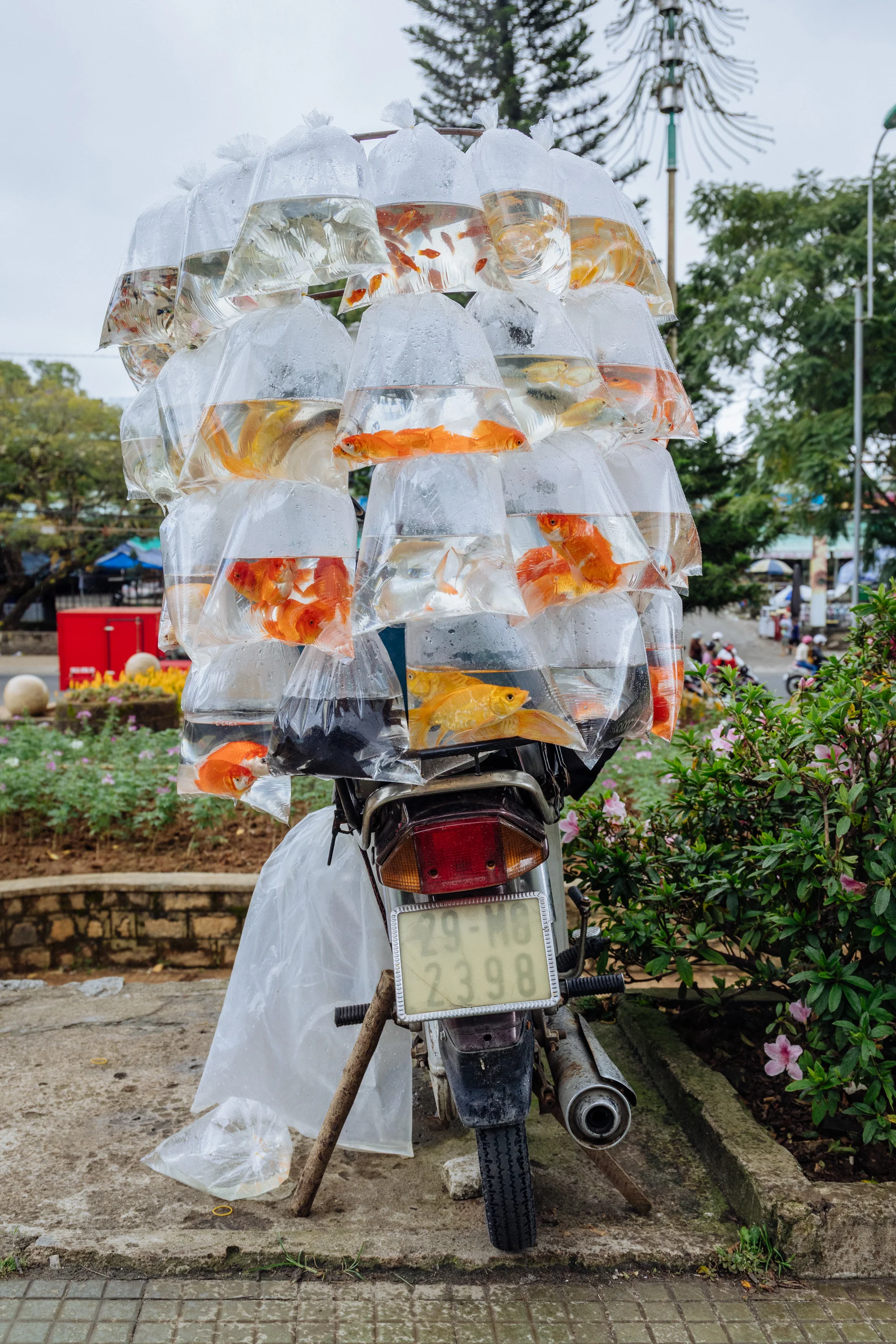 Photograph by Nelson Mouëllic — Week 17 · April 14, 2026