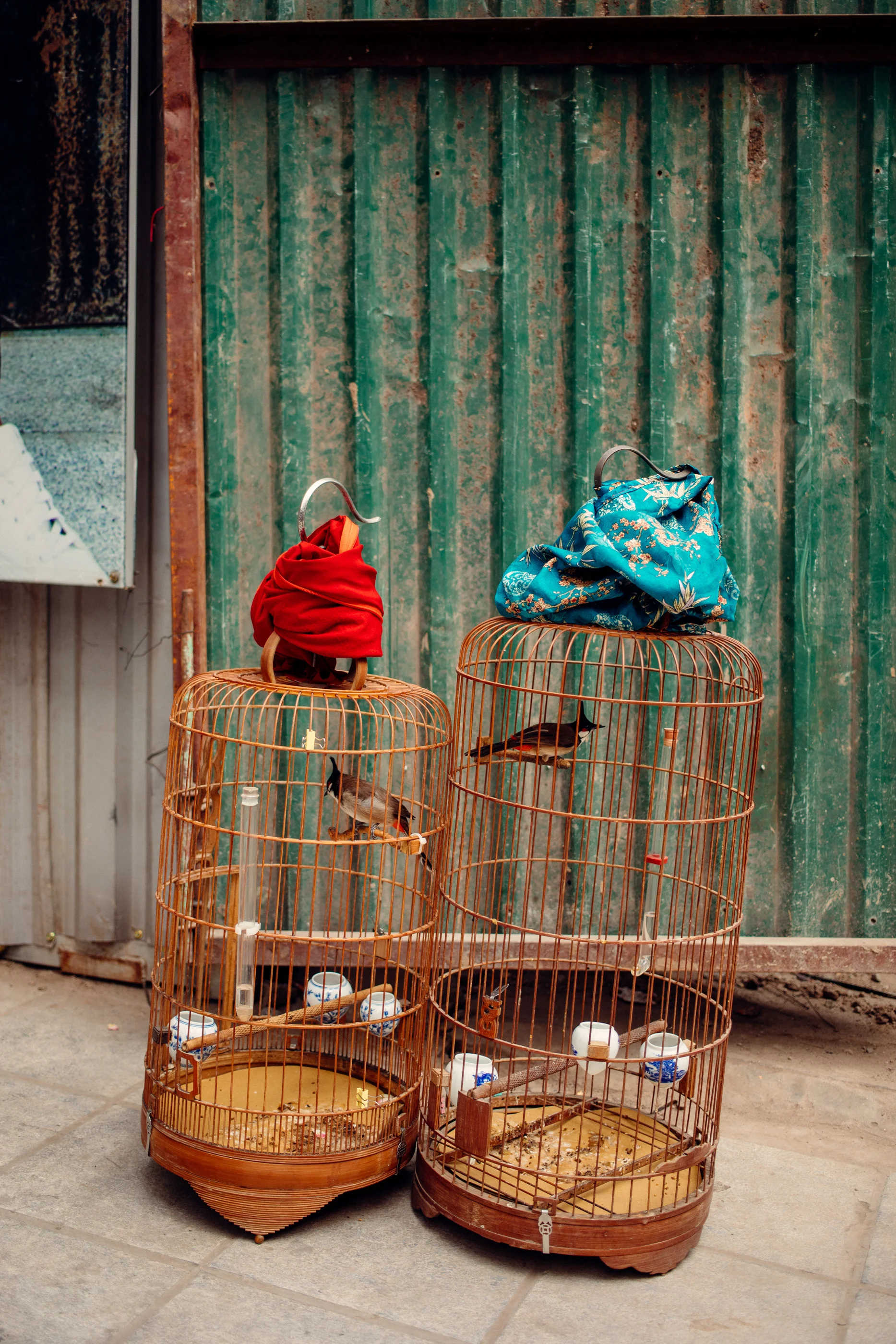 Photograph by Nelson Mouëllic — Week 17 · April 14, 2026