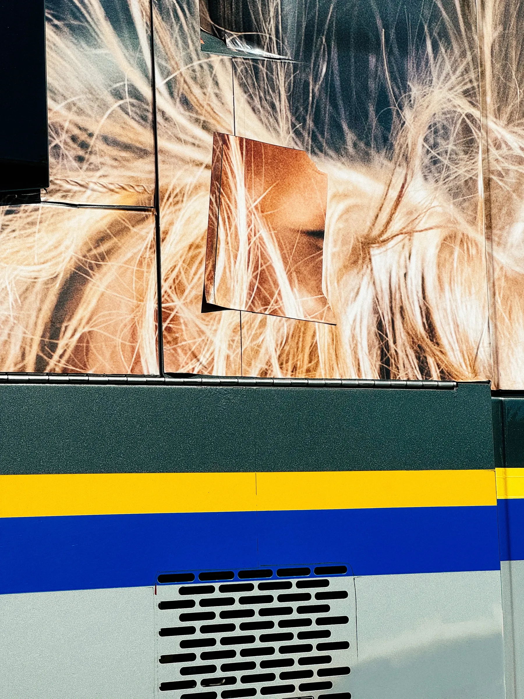 Photograph by Nelson Mouëllic — Week 20 · May 8, 2026