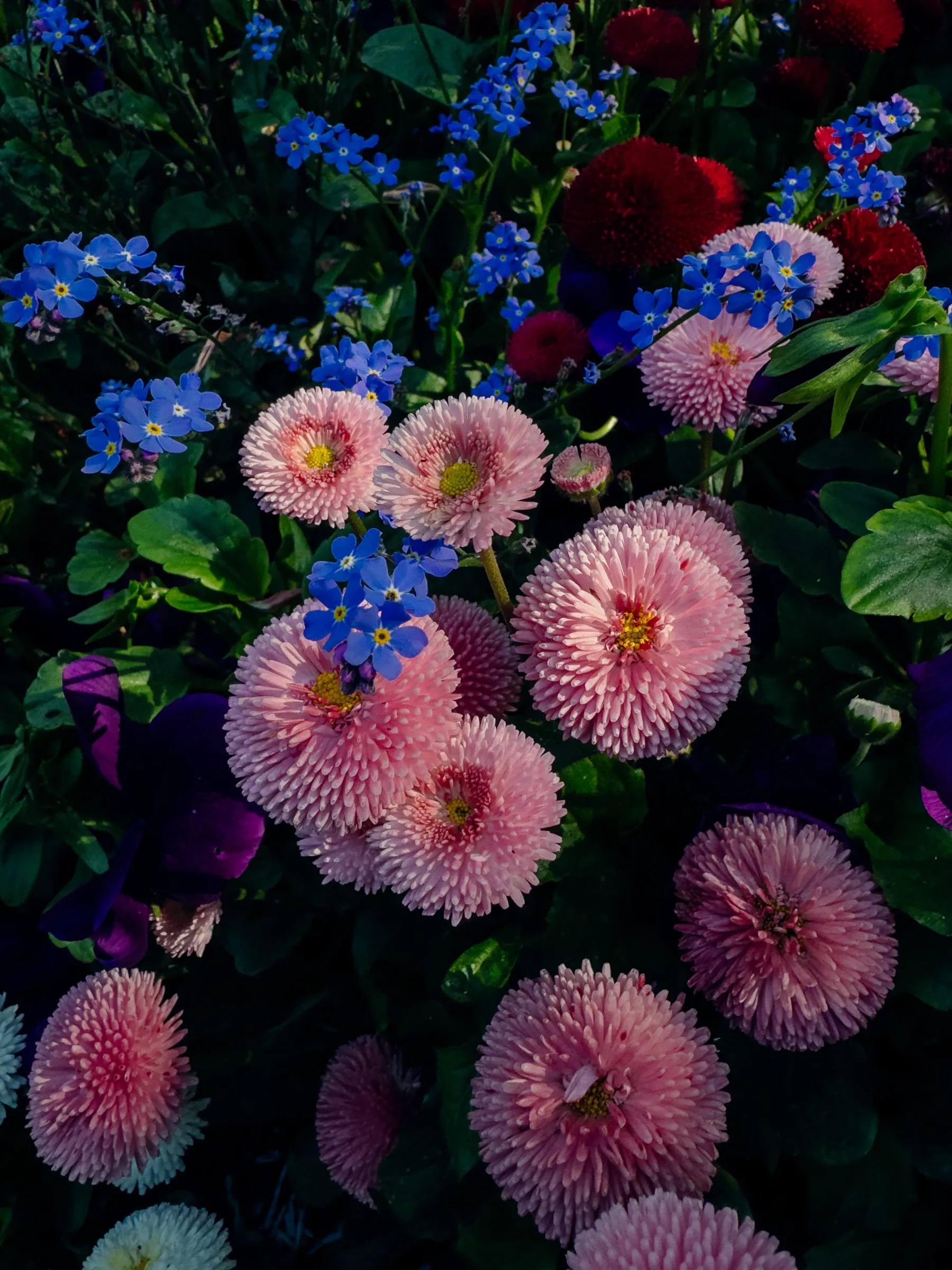 Photograph by Nelson Mouëllic — Week 20 · May 8, 2026
