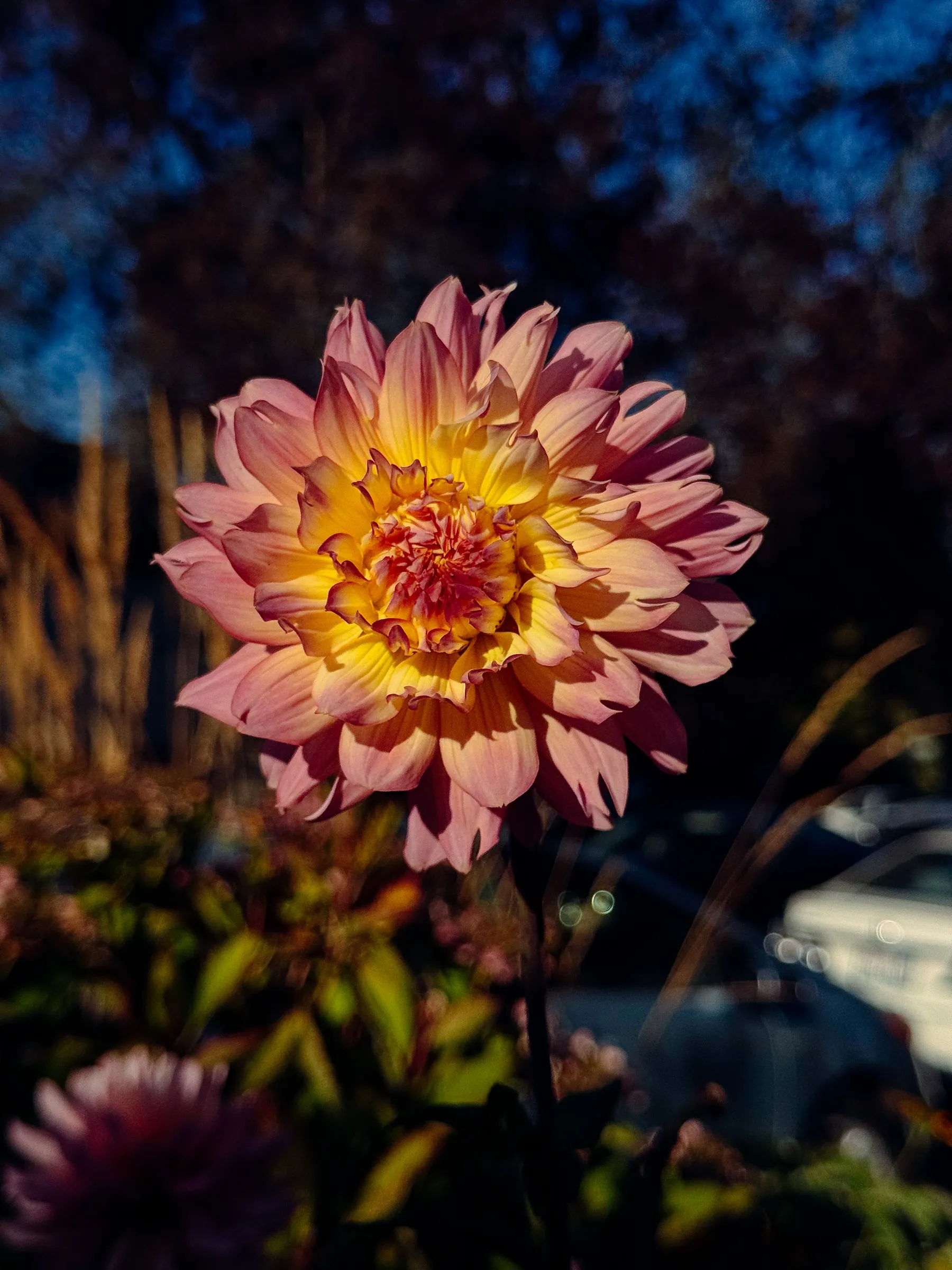 Photograph by Nelson Mouëllic — Week 20 · May 8, 2026